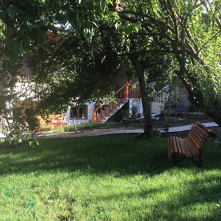 Guest House Kartuli Suli Telavi Exteriér fotografie
